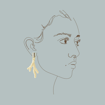 Coral Earrings